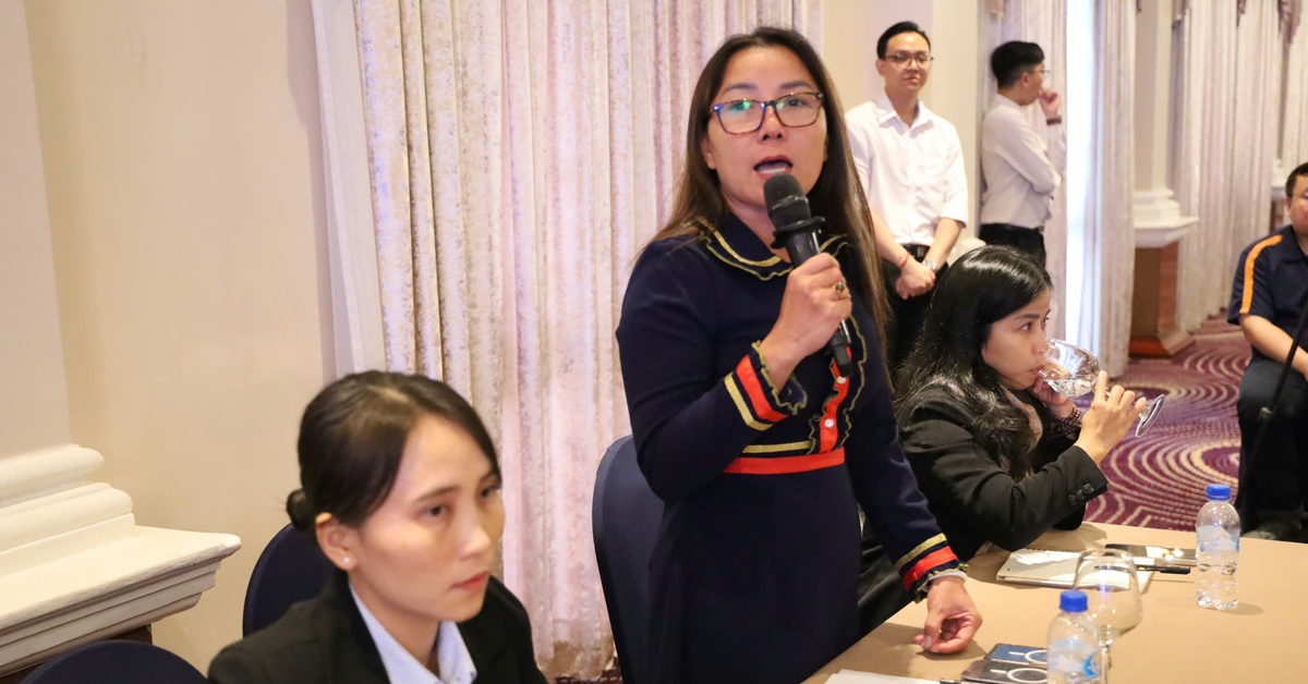 TP.HCM thiếu bến bãi, doanh nghiệp du lịch kêu 'có thuyền mà không bến, thuyền biết về đâu?'
