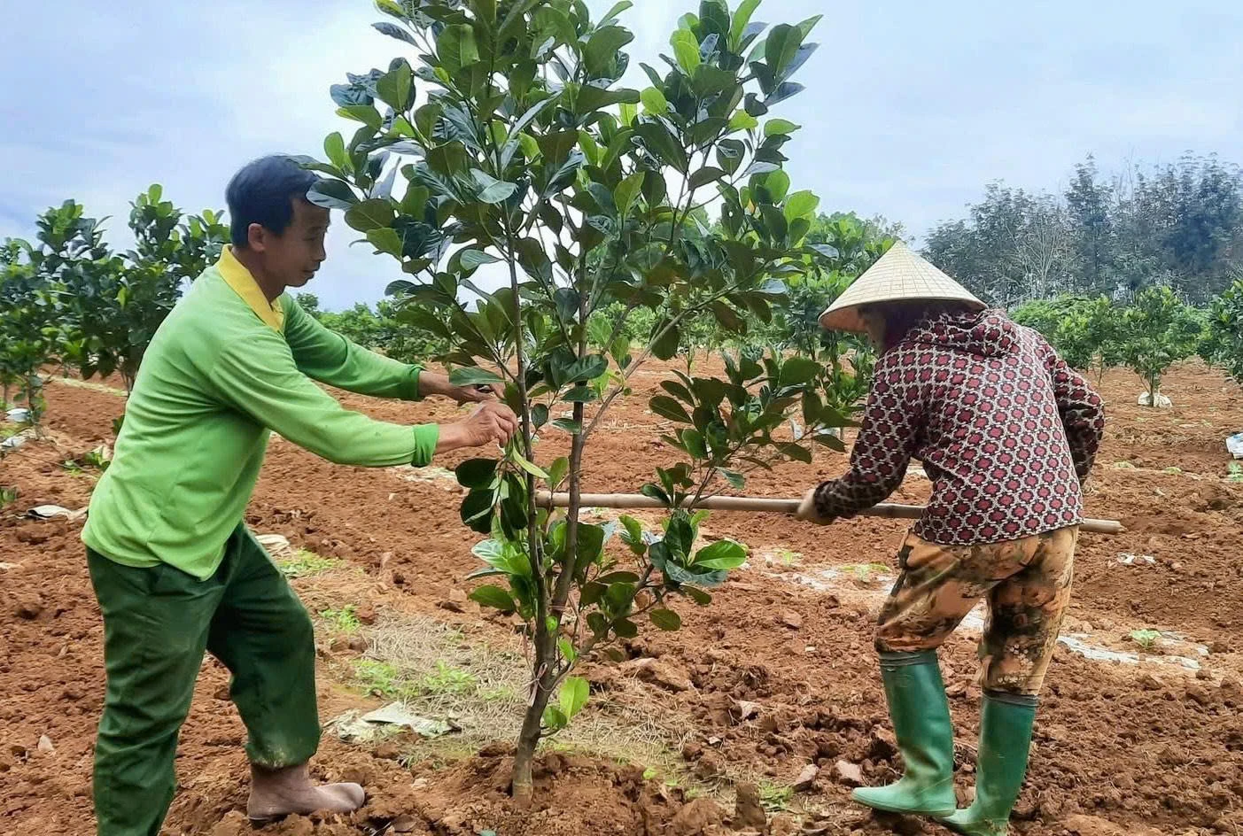 Khi nông dân “nghĩ lớn”