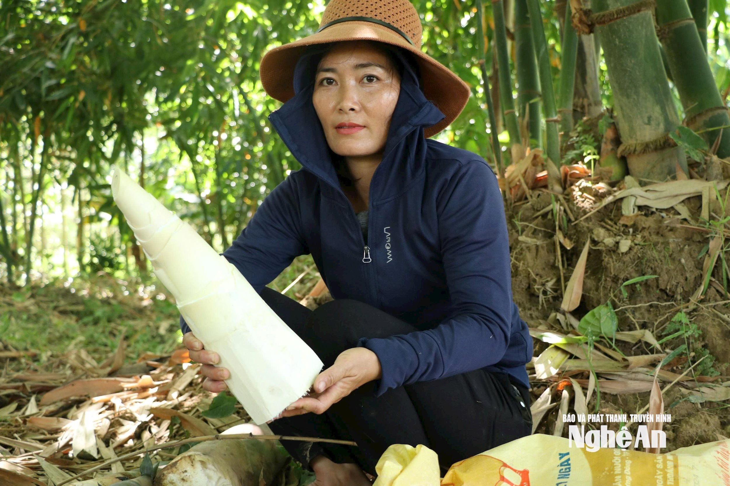 giòn ngọt