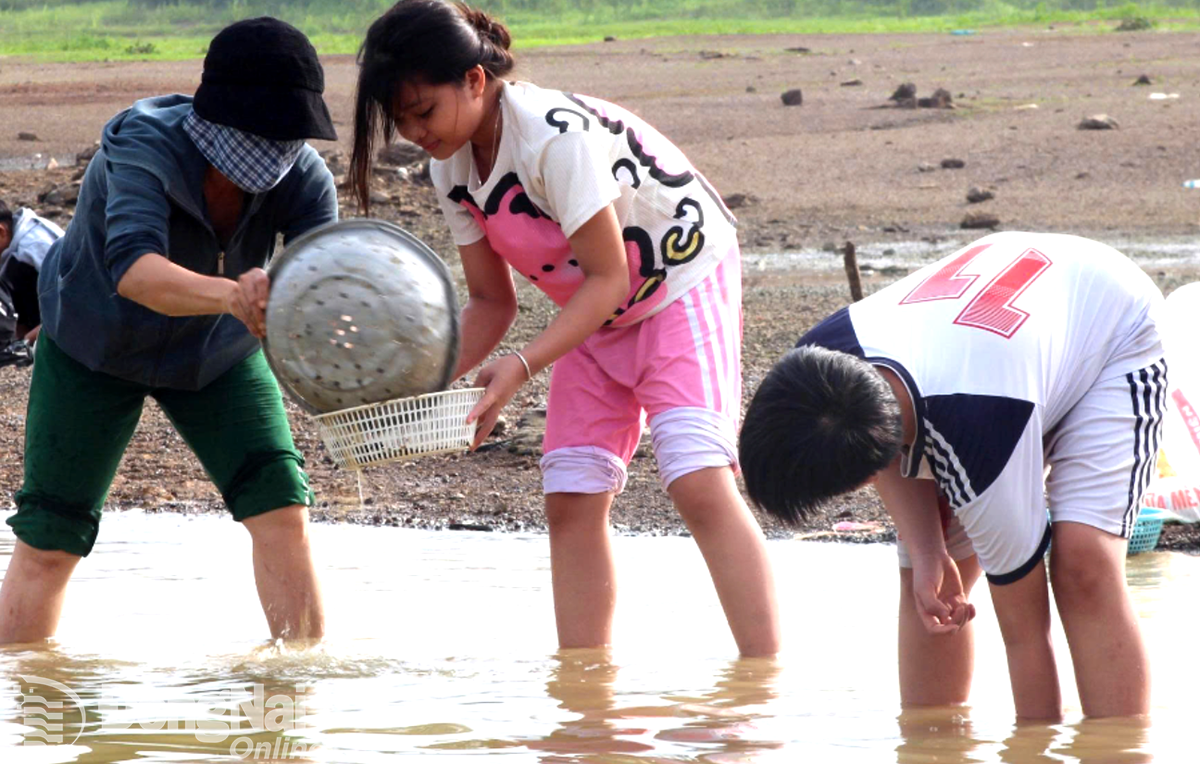 7. Taking advantage of the summer holidays, children from the floating villages in Tri An Lake go crabbing and snail catching along the lake shore to help their families. Photo: Quang Huy   