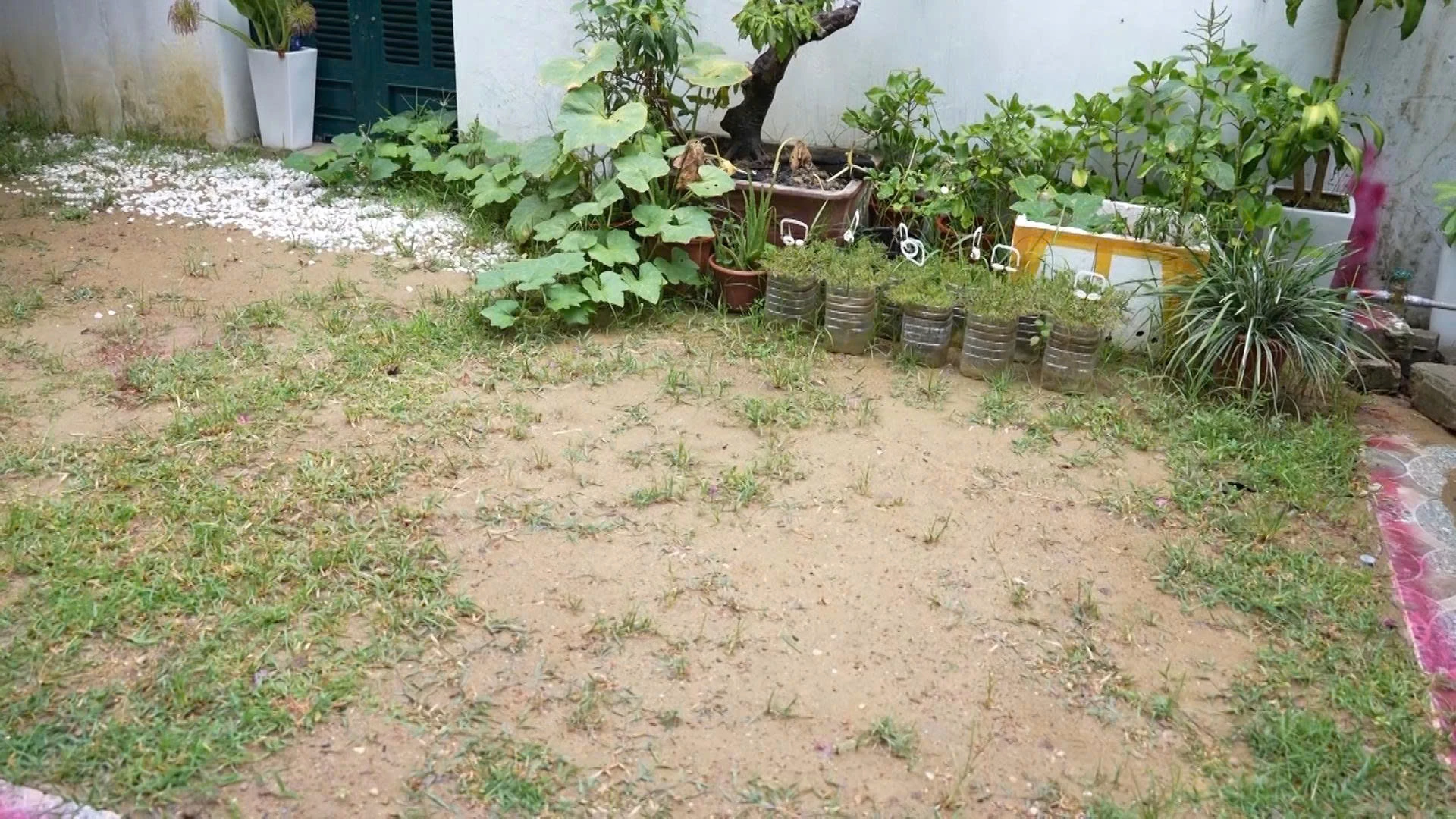 Có hay không sự nhập nhằng trong hợp đồng mua bán đất đai?