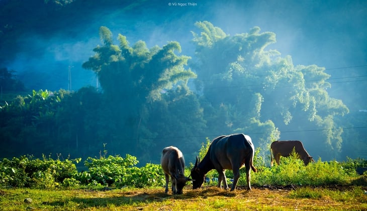 xã Hạnh Phúc - Ảnh 3.
