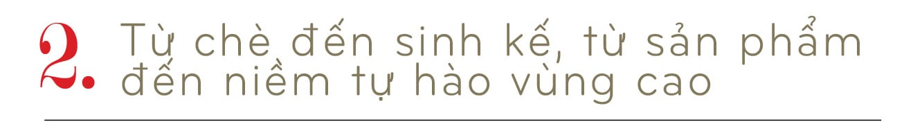 Longform | Chè Suối Giàng: Từ báu vật trên đỉnh núi đến biểu tượng văn hoá  - 4