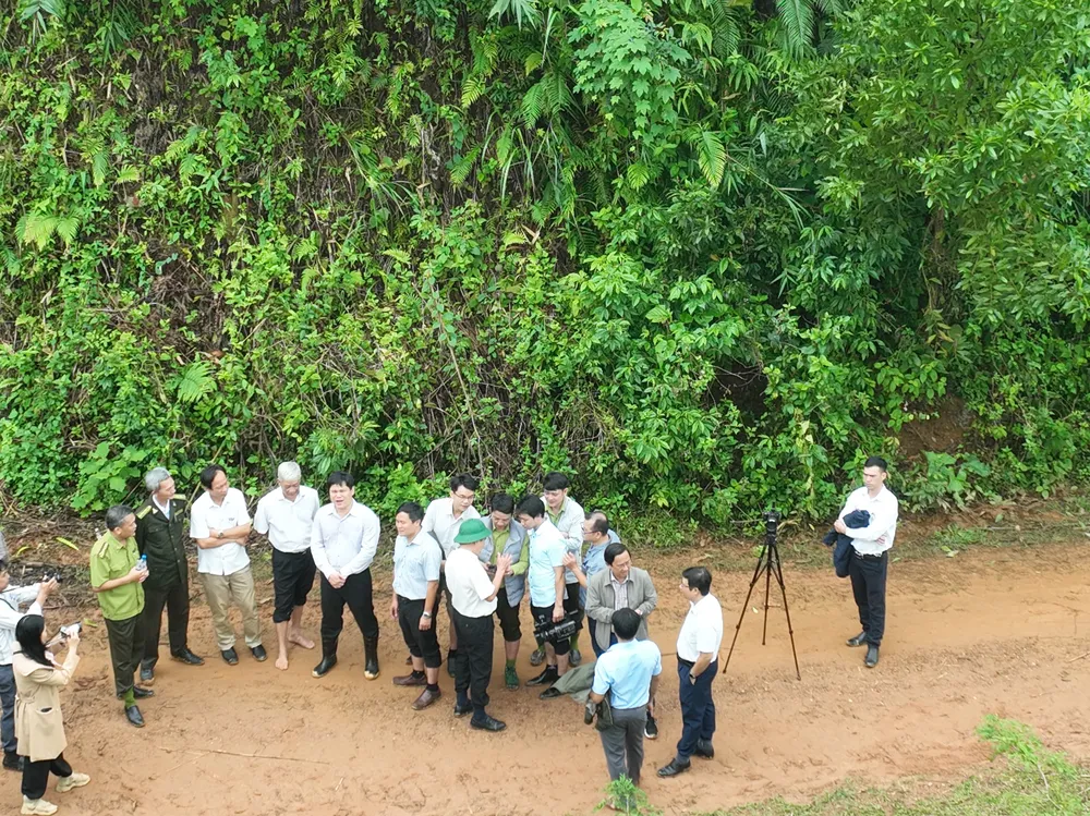 DJI_0167.JPG