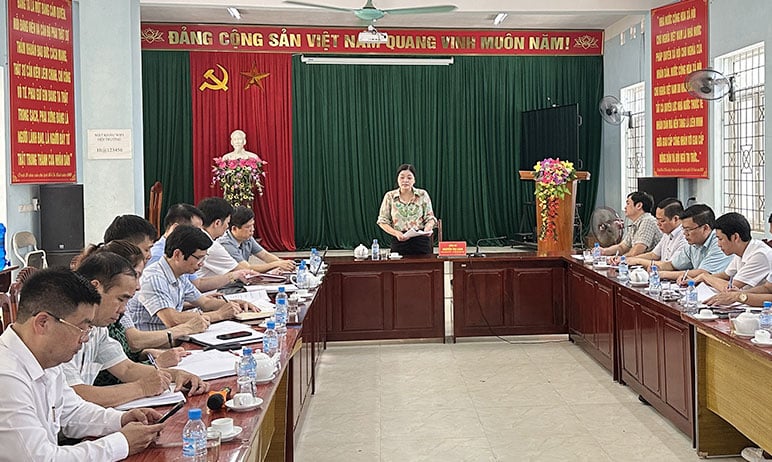 Đồng chí Phó Chủ tịch UBND tỉnh Nguyễn Thị Loan chủ trì buổi làm việc.