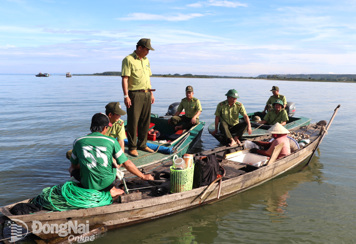 9. Thanks to the promotion of direct communication to each fishing household by the authorities, people's awareness of law compliance has been raised and the use of prohibited fishing gear for fishing has significantly decreased. Photo: An Nhon   
