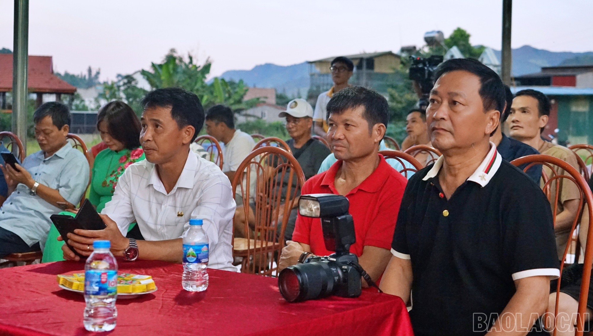 baolaocai-br_tst1.jpg