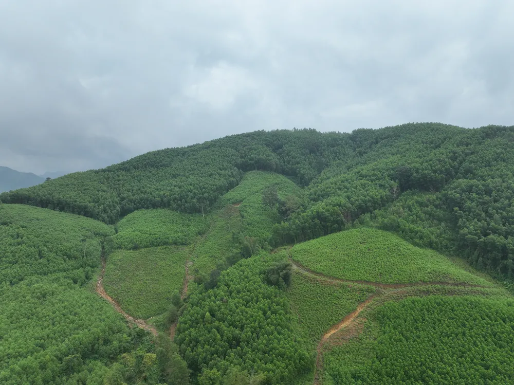 DJI_0162 (1).JPG