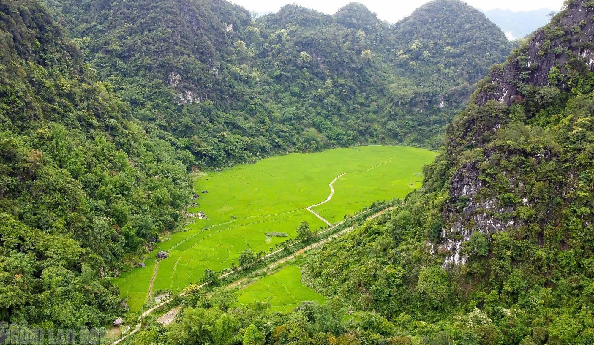 Có một "Sơn Đoòng" đẹp nao lòng giữa đại ngàn Pù Luông- Ảnh 19.