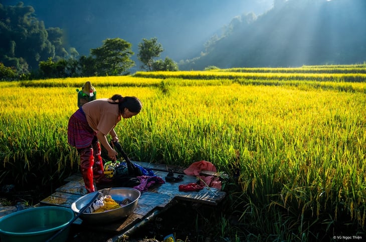 xã Hạnh Phúc - Ảnh 5.