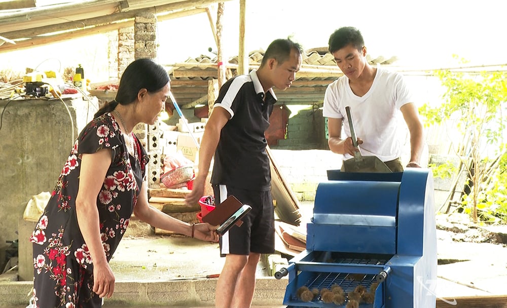 លោកស្រី Ban Thi Ngan នាយកសហករណ៍ Hop Phat នៅឃុំ Ngan Son បានផ្លាស់ប្តូរតាមរយៈ Zalo ជាមួយអ្នកផ្គត់ផ្គង់ឧបករណ៍បកសំបកដើមទ្រូង។
