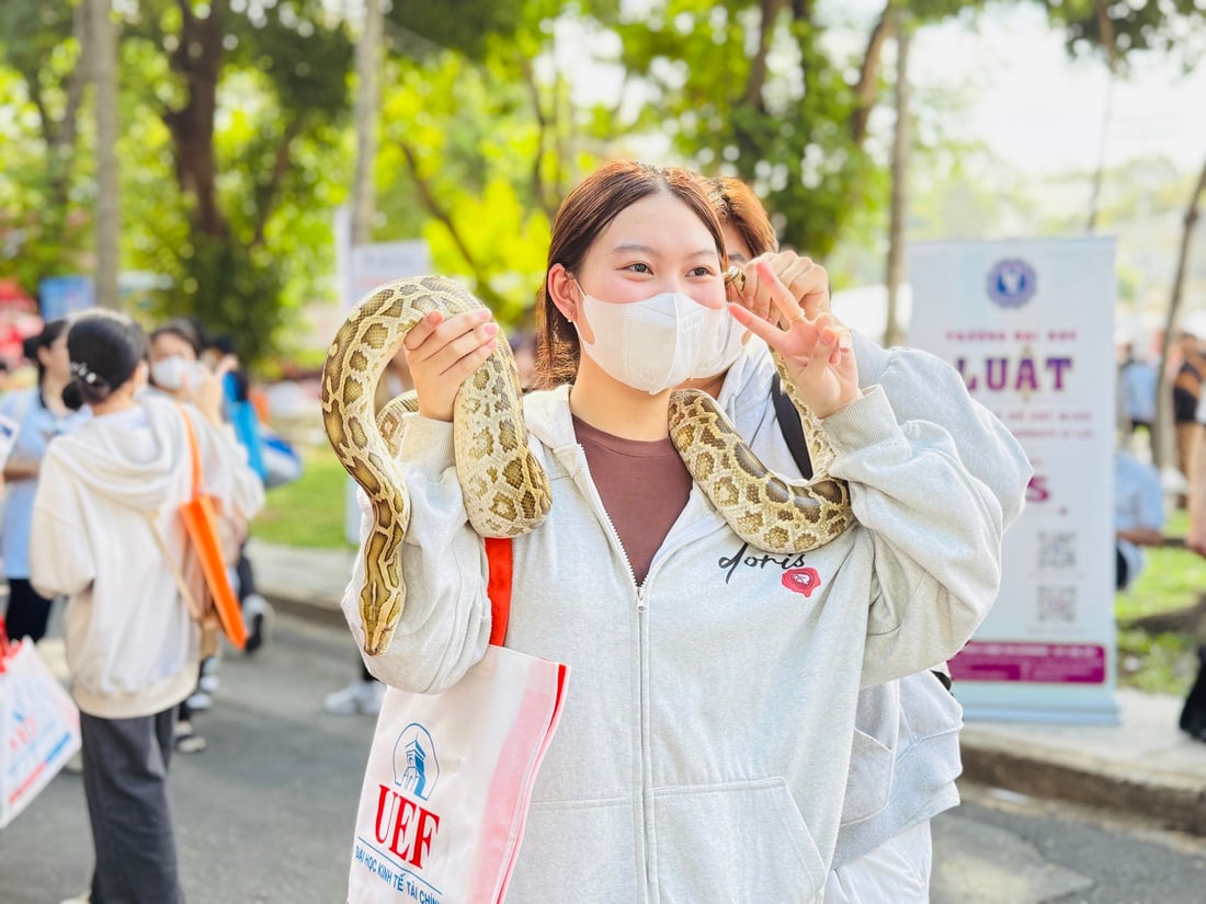Nhiều cách tư vấn xét tuyển đại học 'độc, lạ' - Ảnh 6.