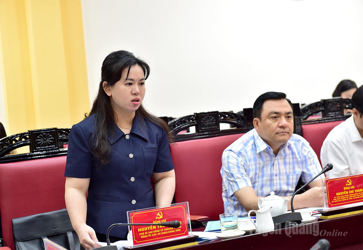 Lãnh đạo Đảng ủy các cơ quan Đảng tỉnh phát biểu tại buổi làm việc.