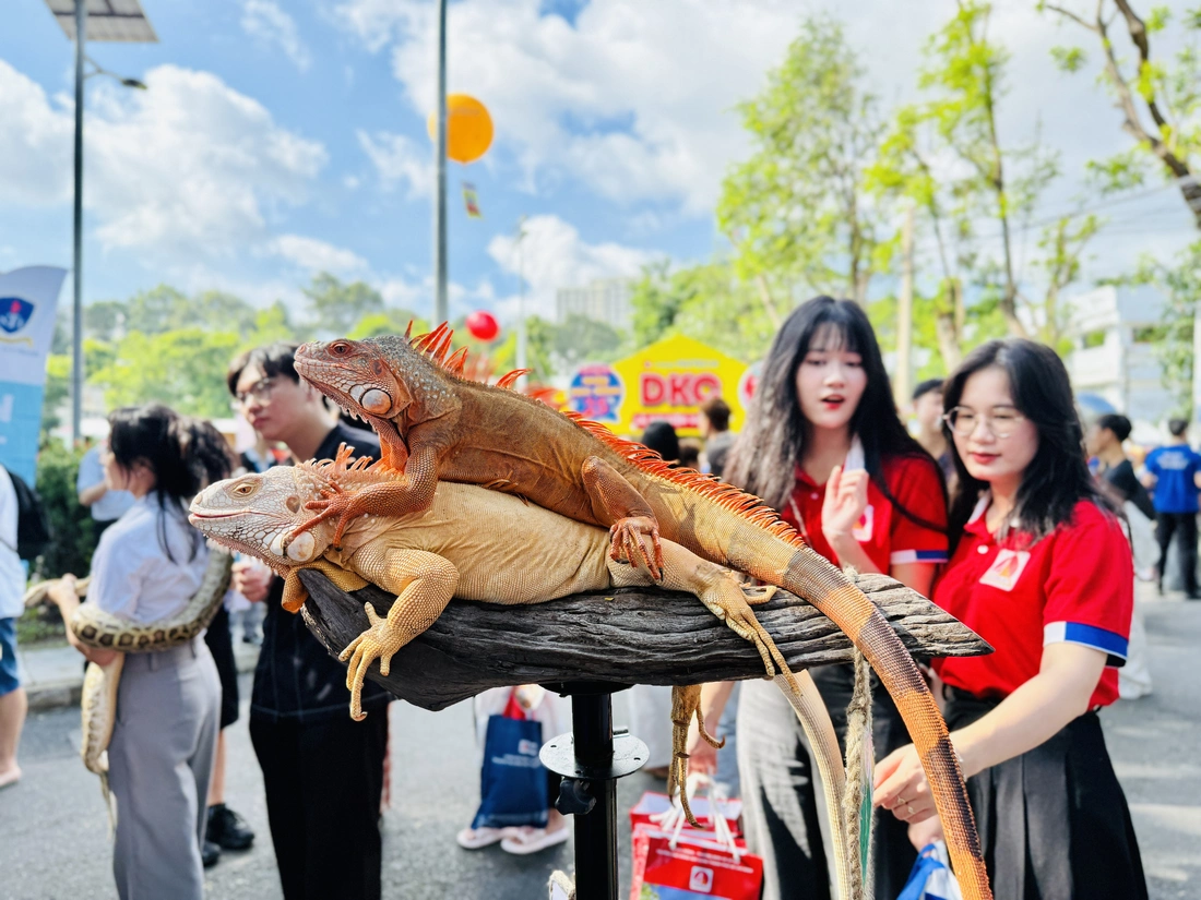 Nhiều cách tư vấn xét tuyển đại học 'độc, lạ' - Ảnh 7.