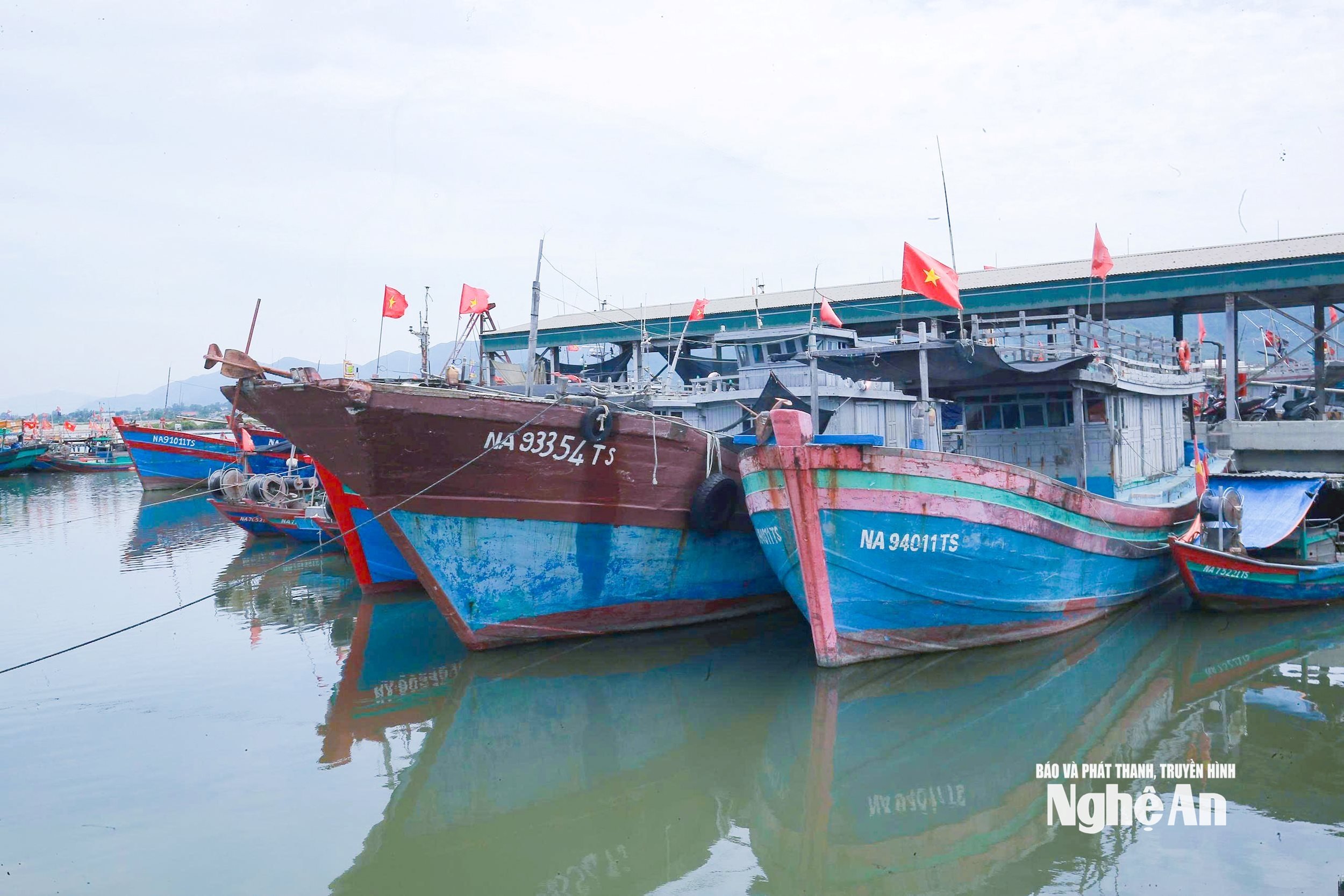 neo đậu