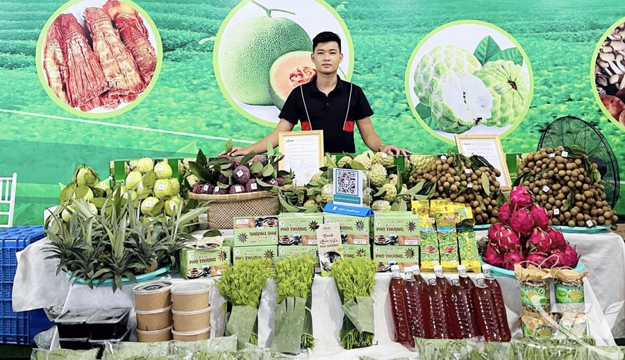 វិស្វករវ័យក្មេង និងការធ្វើដំណើររបស់គាត់ទៅកាន់ភ្នំបៃតង