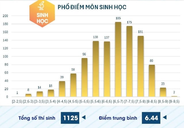 Điểm thi đánh giá năng lực chuyên biệt Trường ĐH Sư phạm TP.HCM năm 2025 tăng mạnh - Ảnh 5.