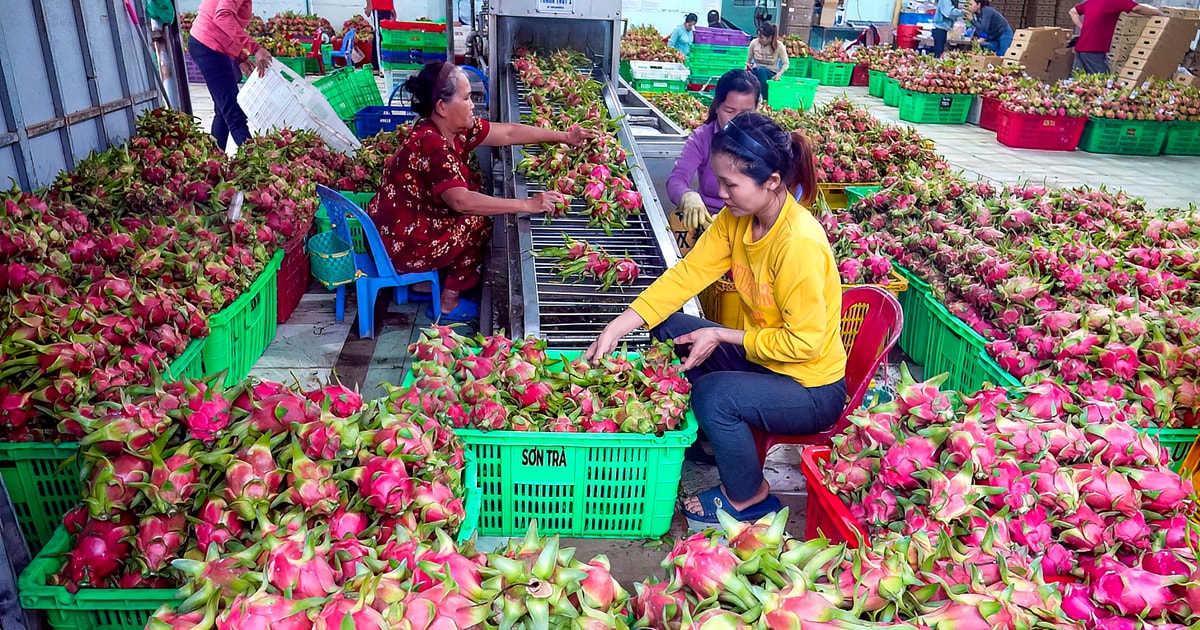 Tiêu thụ chéo