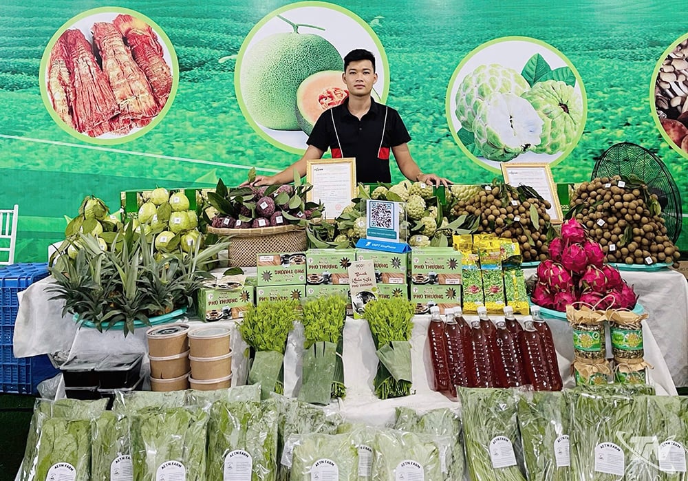 Sản phẩm rau hữu cơ của Công ty TNHH Nông nghiệp và Dịch vụ AE Thái Nguyên có mặt tại các hội chợ trong tỉnh.