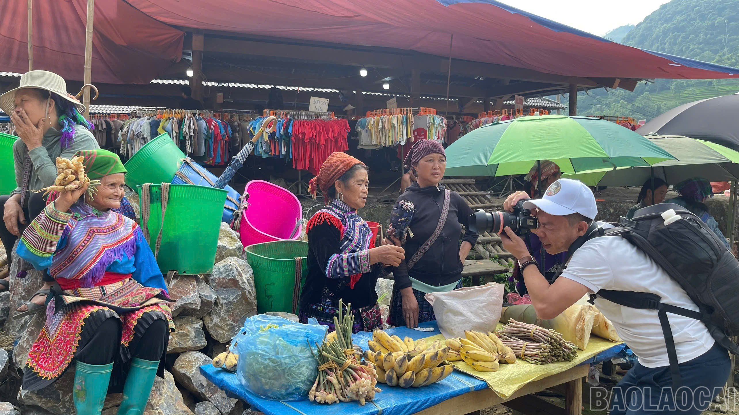 baolaocai-br_z6819480807562-0788d6e8b87846736af23bace43854e7.jpg
