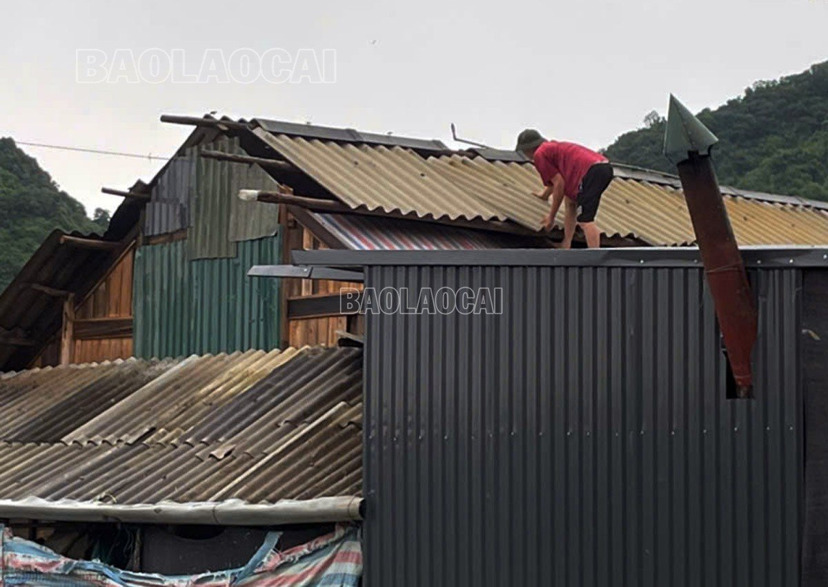 baolaocai-c_z6821138024996-6e3e512a86a44c216f69e5572089a917-896.jpg