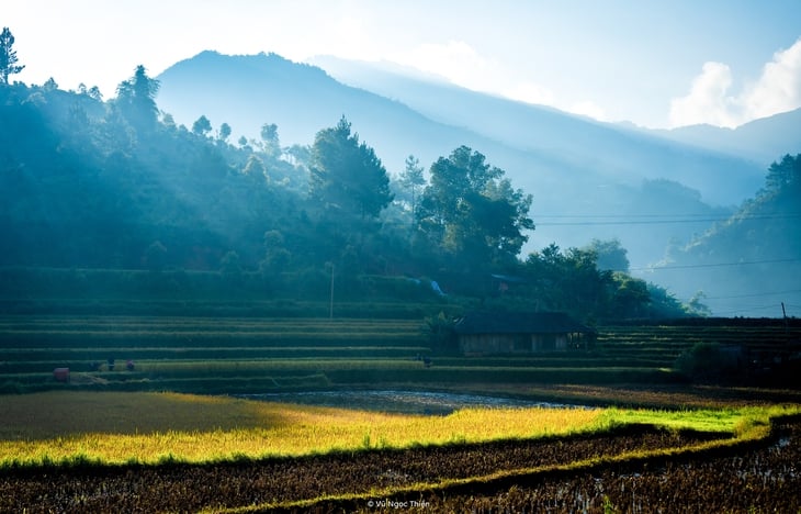 xã Hạnh Phúc - Ảnh 11.