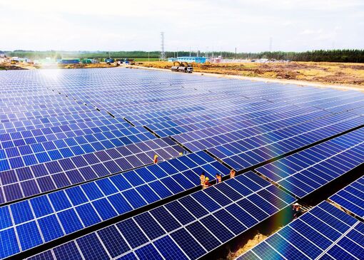 Đẩy nhanh tiến độ quy hoạch, triển khai các dự án điện mặt trời