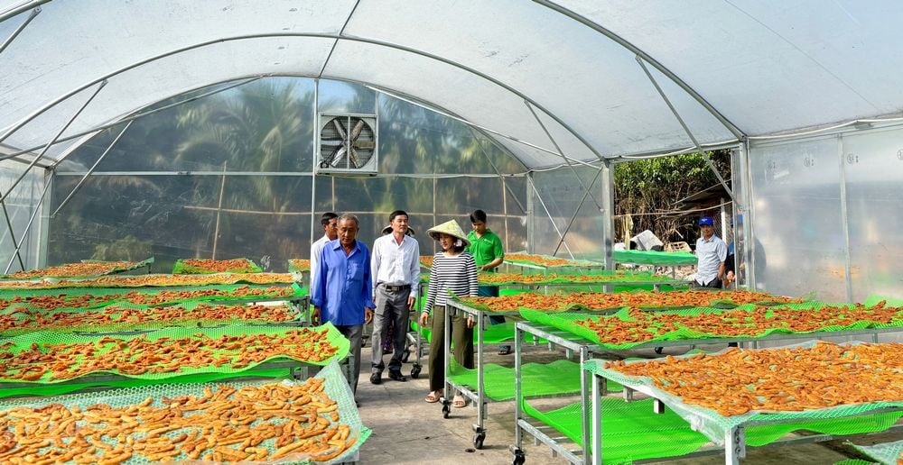 
Các xã đang nỗ lực nhiều hơn để thực hiện tốt nhiệm vụ, thúc đẩy phát triển kinh tế- xã hội.

