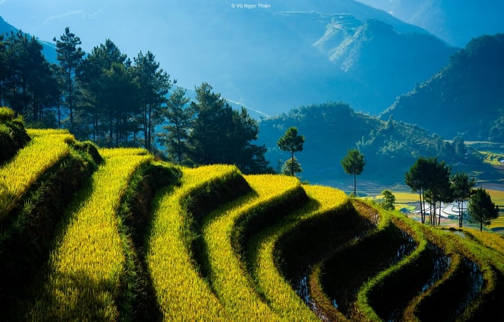 xã Hạnh Phúc - Ảnh 4.