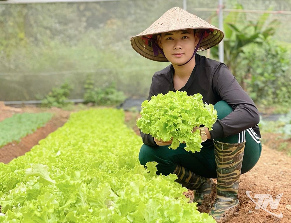 Anh Hoàng Mạnh Tuấn bên vườn rau hữu cơ.