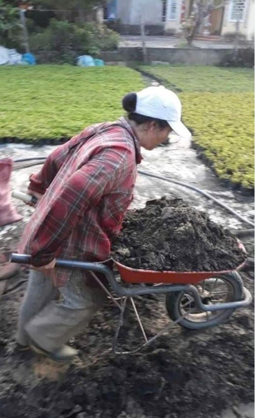 Sống đẹp với niềm đam mê cây cảnh - Ảnh 3.