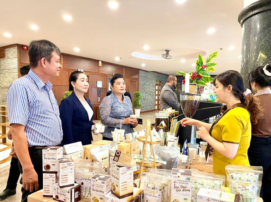 gia-lai-co-nhieu-thuong-hieu-ca-phe-noi-tieng-anh-vt.jpg
