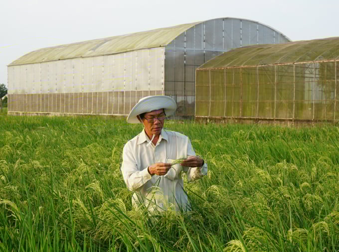 Nỗ lực tự thân vận động trong nghiên cứu khoa học