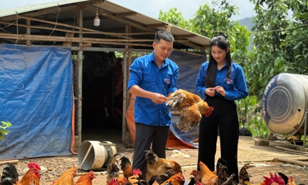 Chủ động làm giàu, dựng xây quê hương