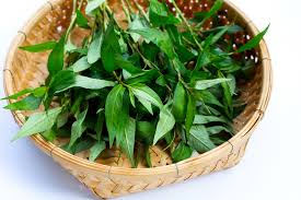 Nấu canh thịt bò nhất định phải cho loại rau này vào mới chuẩn vị, thơm ngon bổ dưỡng - Ảnh 2.