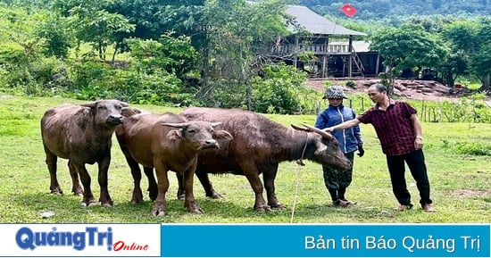 Hơn 8.400 người dân được vay vốn phát triển kinh tế