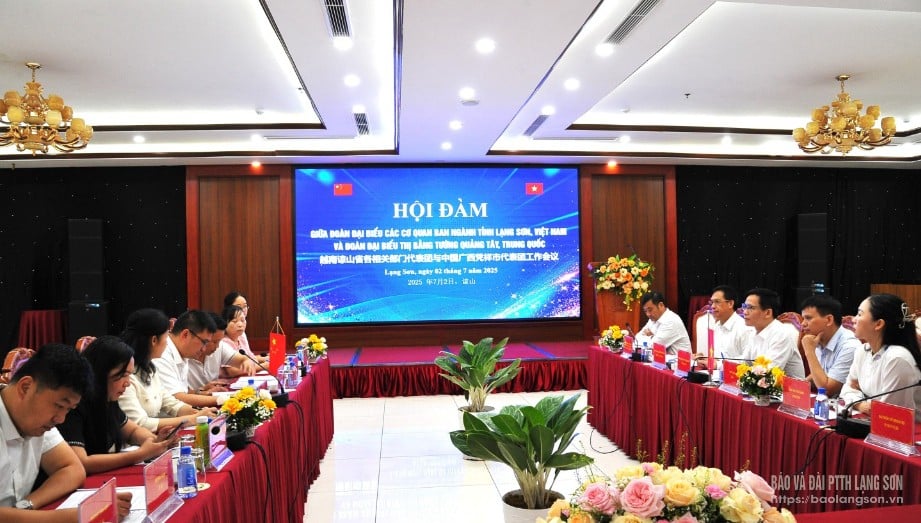 tuo,9378,13483902.jpg