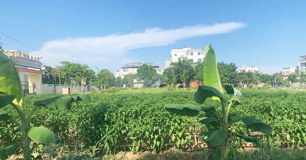 Nhà trẻ "trên giấy" vì... vướng thủ tục?