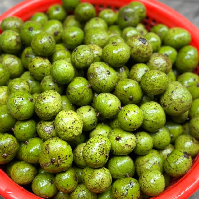 Sấu vào mùa giá chỉ từ 15.000 đồng/kg, đây là thời điểm mua sấu ngon nhất và cách chọn sấu ngon- Ảnh 4.