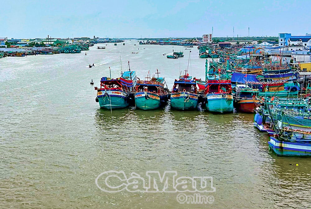 Sông Ðốc được đầu tư hạ tầng nghề cá khá cơ bản, với cảng cá, khu neo đậu và hàng loạt các nhà máy, xí nghiệp và cửa hàng phục vụ nghề khai thác.