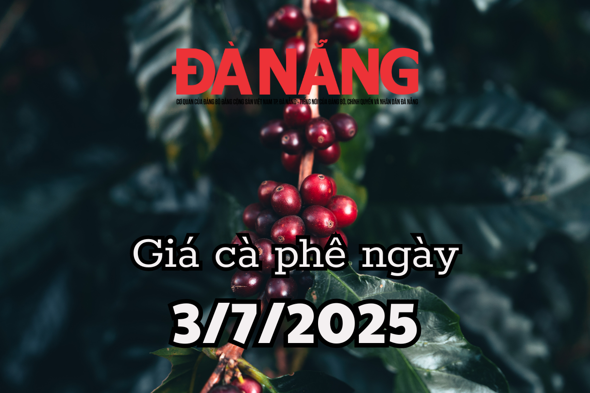 ព័ត៍មាន ការព្យាករណ៍តម្លៃកាហ្វេថ្ងៃស្អែក 3 7 2025 កើនឡើងយ៉ាងខ្លាំងដល់តម្លៃខ្ពស់បំផុត 96,000 ដុង/គីឡូក្រាម