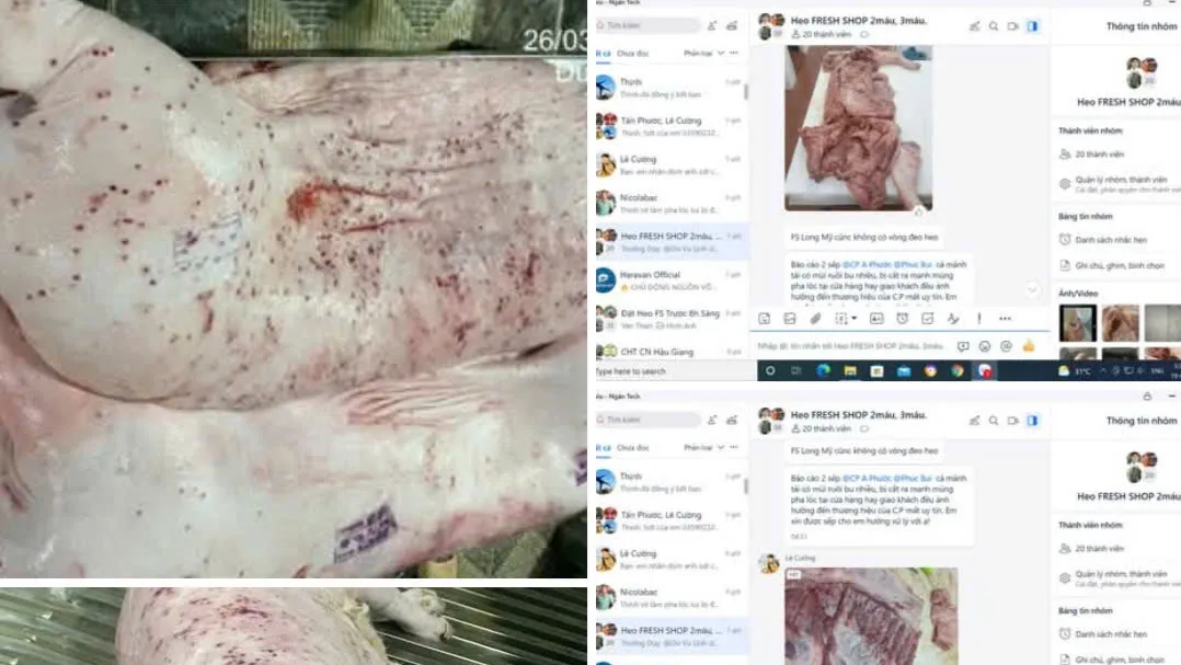 ហាង CP Vietnam រង​ការ​ចោទ​ប្រកាន់​ពី​បទ​រត់ពន្ធ​សាច់​កខ្វក់​ចូល​ទីផ្សារ៖ គ្មាន​ការ​កាត់​ទោស