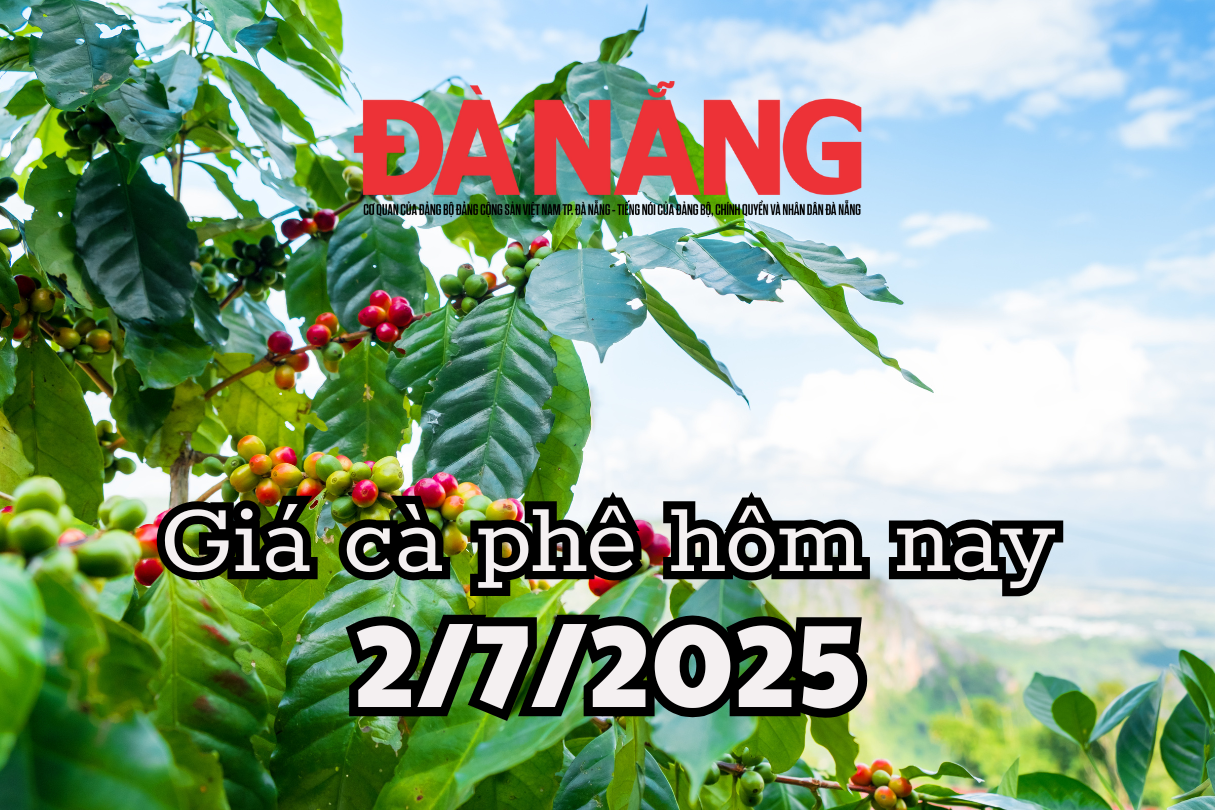 Giá cà phê hôm nay 2 7 2025 Việt Nam sắp đạt sản lượng 31 triệu bao