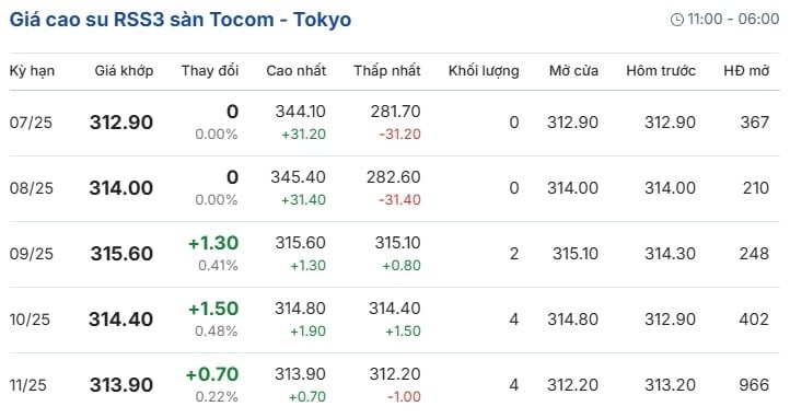 Giá cao su RSS3 sàn Tocom - Tokyo hôm nay