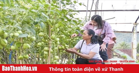 Phát triển bền vững cây trồng khu vực miền núi