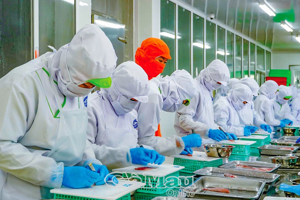 Công nhân Công ty TNHH MTV Quốc Ðạt (Sông Ðốc) thực hiện các bước trong quy trình sơ chế, chế biến thuỷ hải sản. Ảnh: H. NHUNG