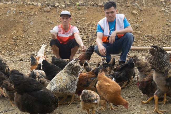 Thực hiện Chương trình mục tiêu quốc gia xây dựng nông thôn mới và Chương trình giảm nghèo bền vững giúp bộ mặt nông thôn Thanh Hóa khởi sắc - Ảnh 2.