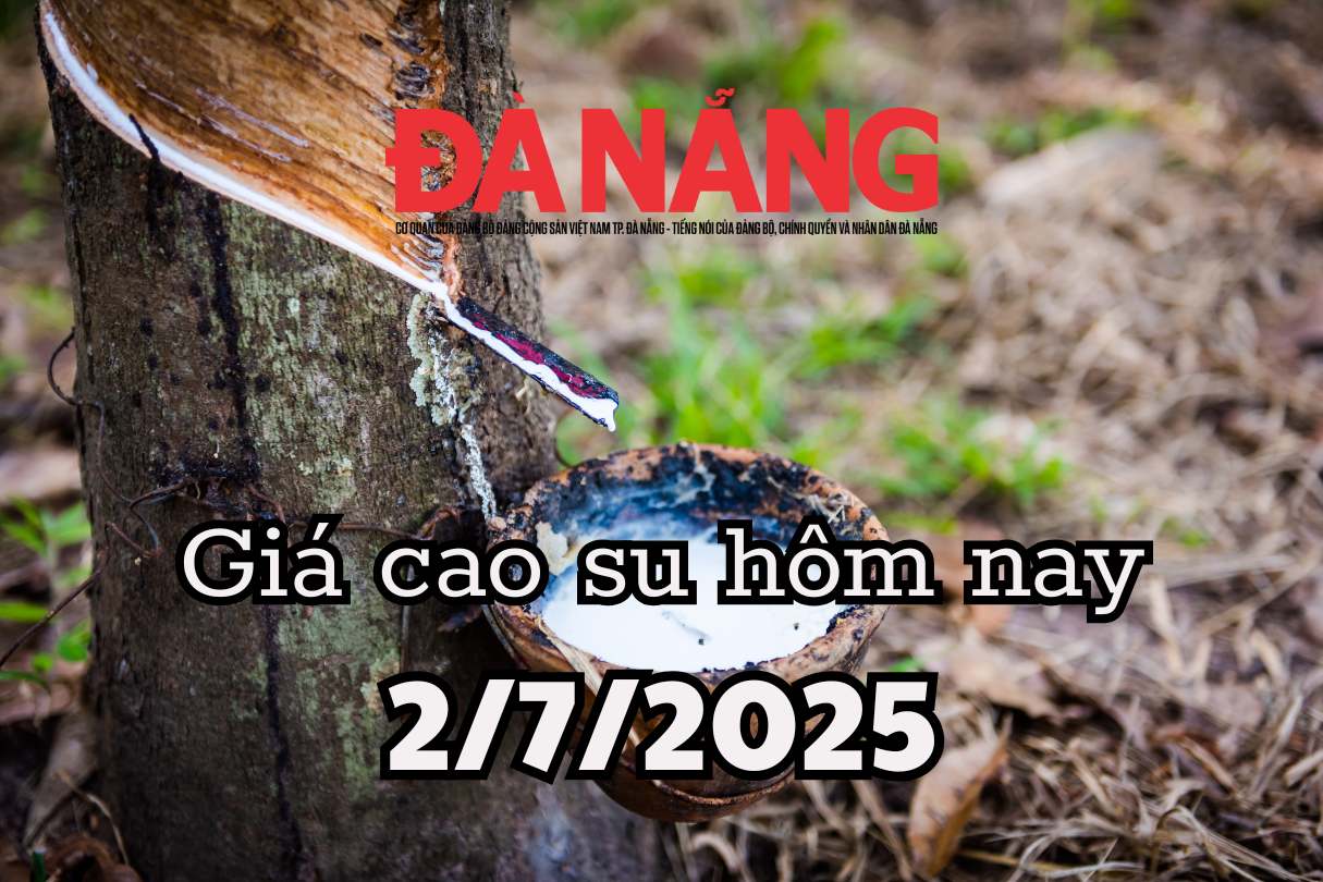 Giá cao su hôm nay 2 7 2025 Tăng vọt tại 2 sàn lớn nhất châu Á