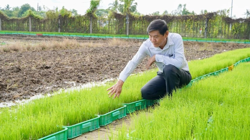 អ្នកបង្កើត "អង្ករល្អបំផុតរបស់ពិភពលោក" ក្លាយជាអនុប្រធាននាយកដ្ឋានកសិកម្ម និងអភិវឌ្ឍន៍ជនបទ