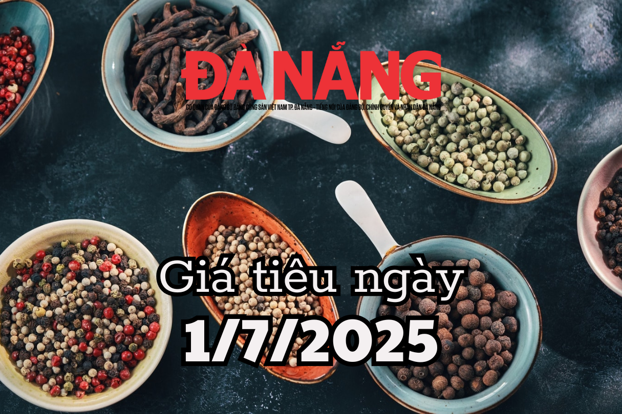តម្លៃម្រេចថ្ងៃនេះ 1 7 2025 វៀតណាមអង្រួនសង្វាក់ផ្គត់ផ្គង់ម្រេចពិភពលោក